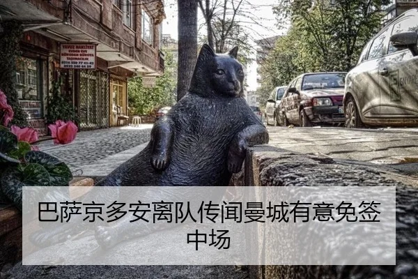 ba-sa-jing-duo-an-li-dui-chuan-wen-man-cheng-you-yi-mian-qian-zhong-chang-2-218.jpg